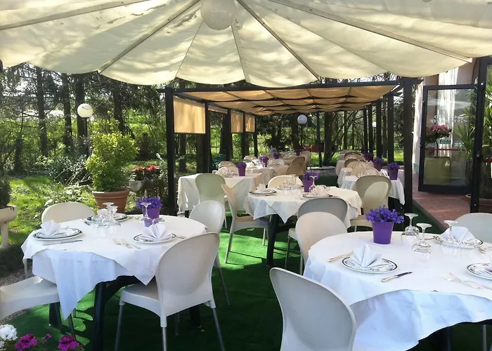 Magnagallo 캄포갈리아노